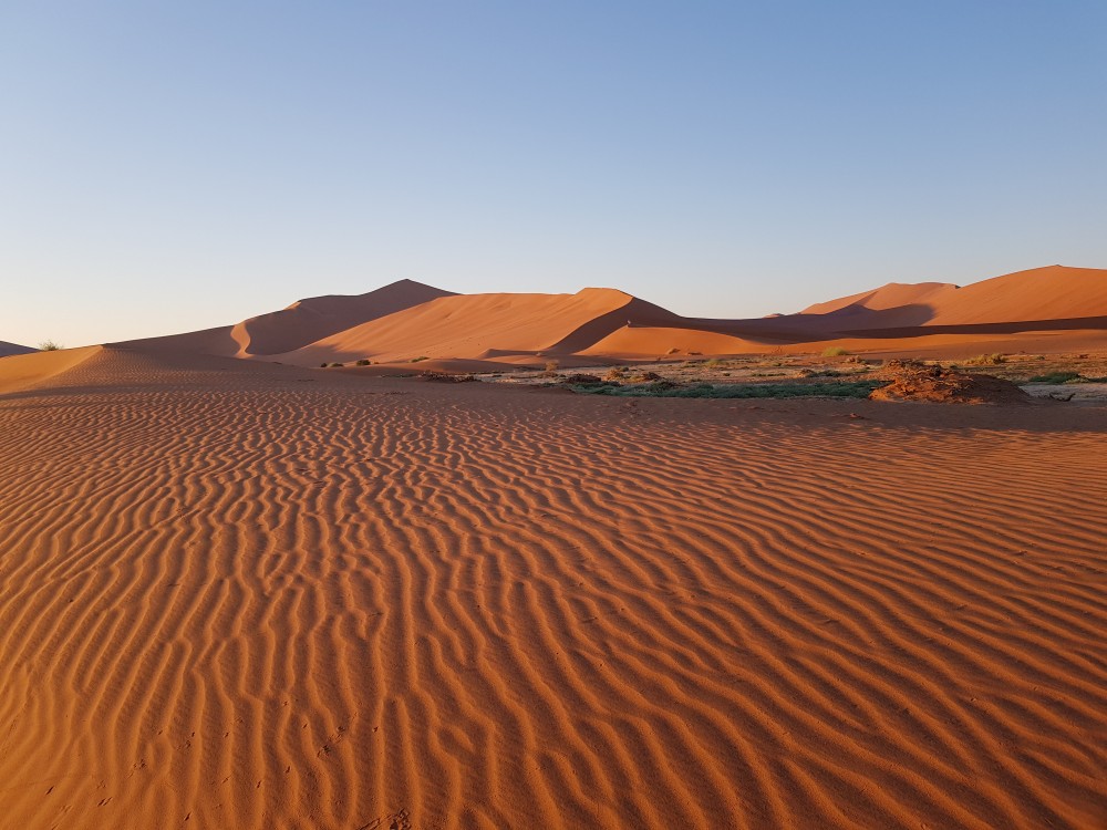 pustynia Namib - Big Daddy